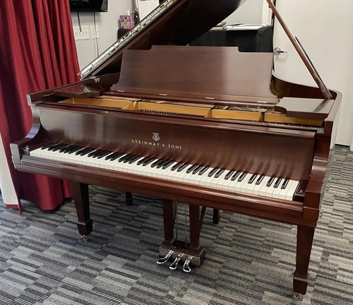 Pianoforte coda steinway m - coda,