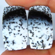 Coppia cuscini opale dendrite