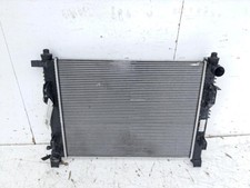 214107326R RADIATORE ACQUA
