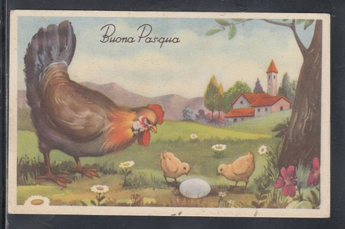 Cartolina buona pasqua - buona, gallina