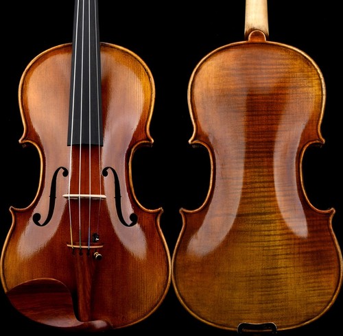 T31 master violino antico - master,