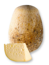 Caciocavallo Vaccino Pugliese