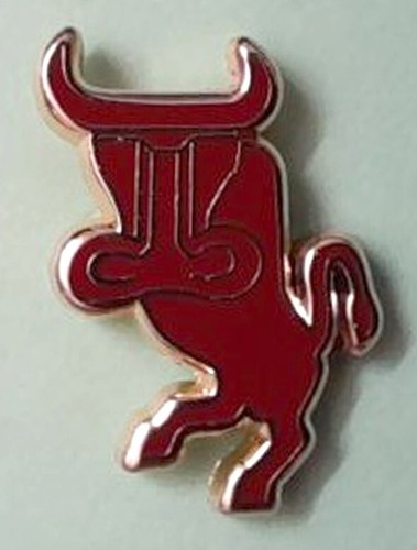 Distintivo spilla pin - distintivo,