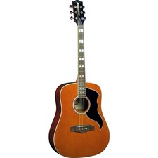 Eko Ranger VI VR EQ Natural