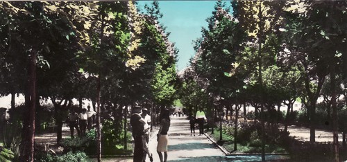 Croce magliano villa - magliano:,