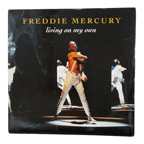 Freddie mercury living - freddie,