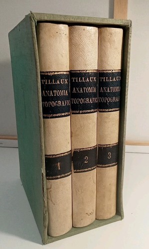 Trattato anatomia - trattato, di