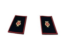 Tubolari banda musicale con cetra dorata e bordo rosso modello A 90092350