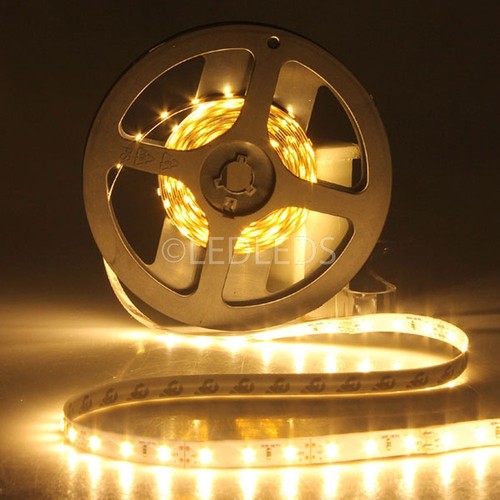 Striscia strip ip20 - striscia,