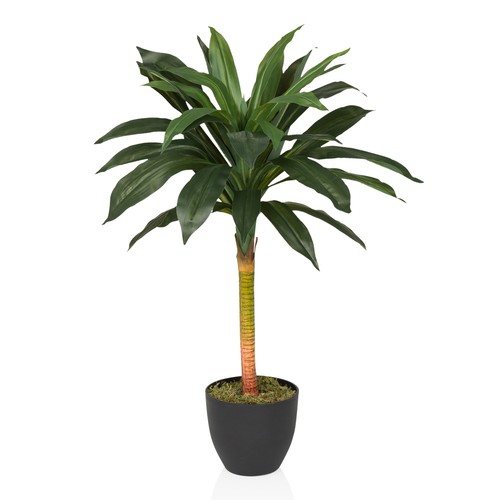 Dracaena artificiale altezza