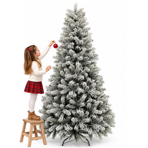 Albero natale nebraska 240 - albero,