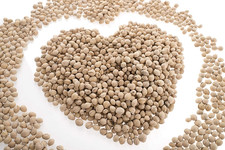 Semi Di Ciliegia Sciolti