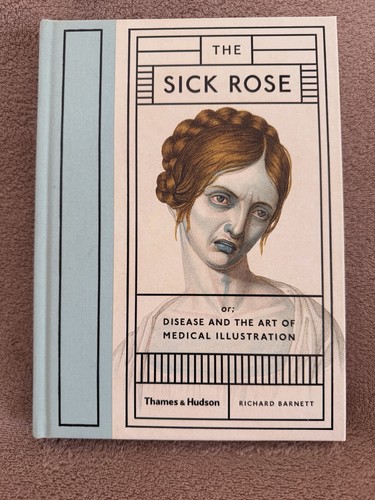 The sick rose - rose, disease