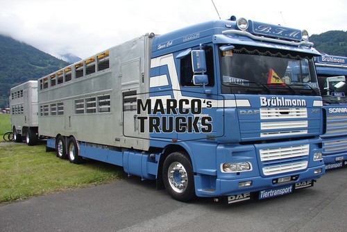 Foto camion daf 430 - camion, xf