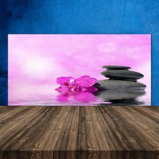 120x60 Paraschizzi in Vetro