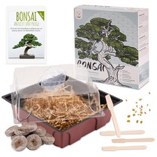 Kit avviamento bonsai incl