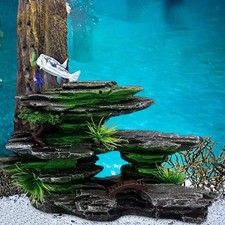 Acquario roccioso per la