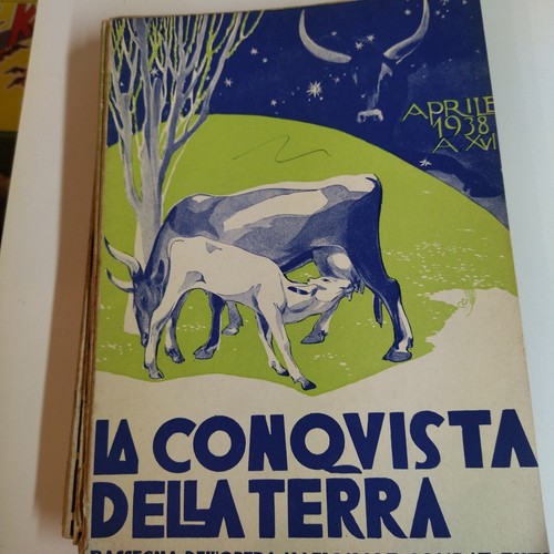 Duilio cambellotti rivista - duilio,