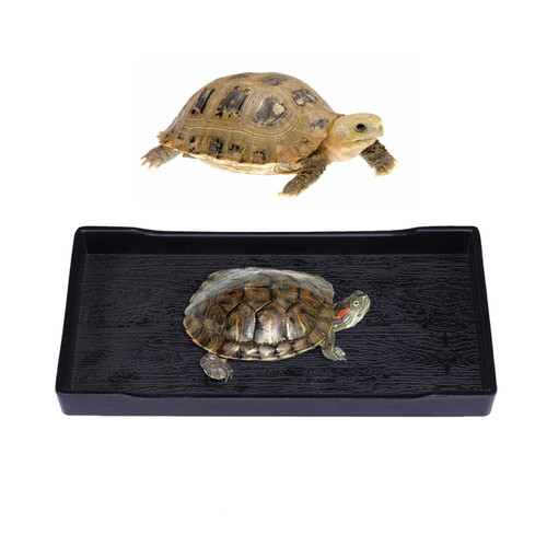 Accessorio serbatoio - ,