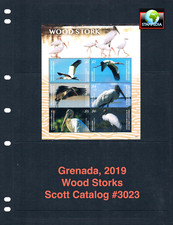 $15,00 Scott Value - 2019