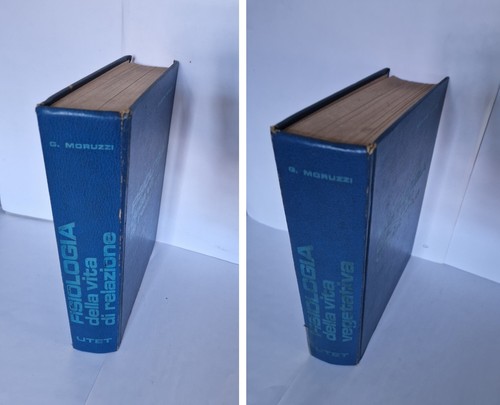 Moruzzi fisiologia della - fisiologia,