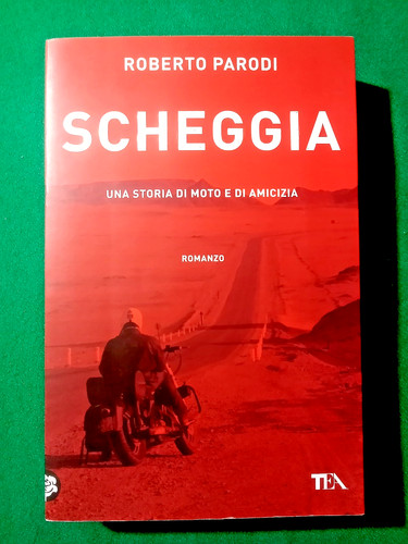 Libro scheggia una - libro,