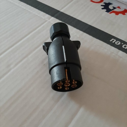 Spina plastica poli - in,