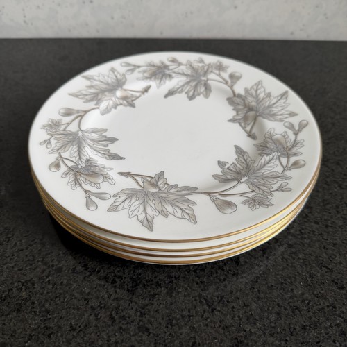Wedgwood ashford w4106 bone - wedgwood,