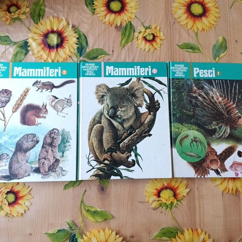 Grande enciclopedia illustrata - enciclopedia,