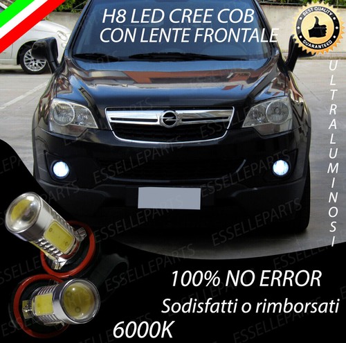 Coppia lampade fendinebbia - coppia, h8