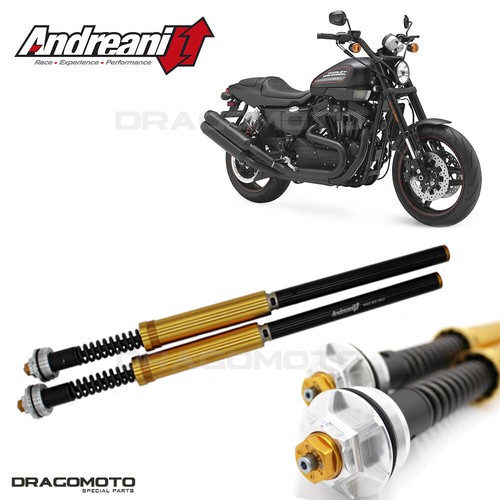 Harley davidson 1200 - xr,