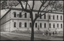 cartolina ROSOLINI scuole elementari e medie