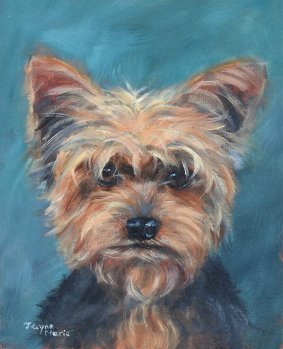 Jayne marie dipinto olio - jayne,