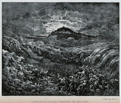 Antica stampa di gustavo - stampa,