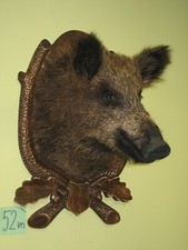 Wild boar head (no. 52m) on