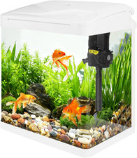 Piccolo Acquario in Vetro Da