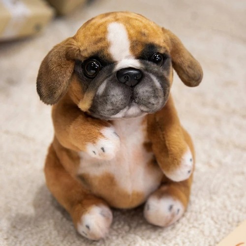 Peluche cane carlino - , 8