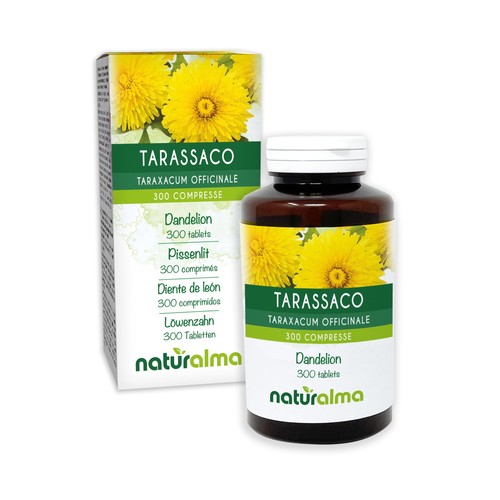 Tarassaco taraxacum - tarassaco, (taraxacum