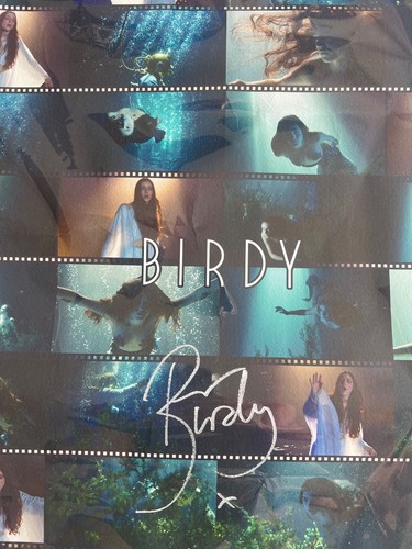 Birdy beautiful lies promo - birdy,