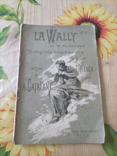 Wally de hillern - wally,