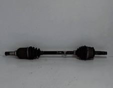 46308260 Semialbero ant