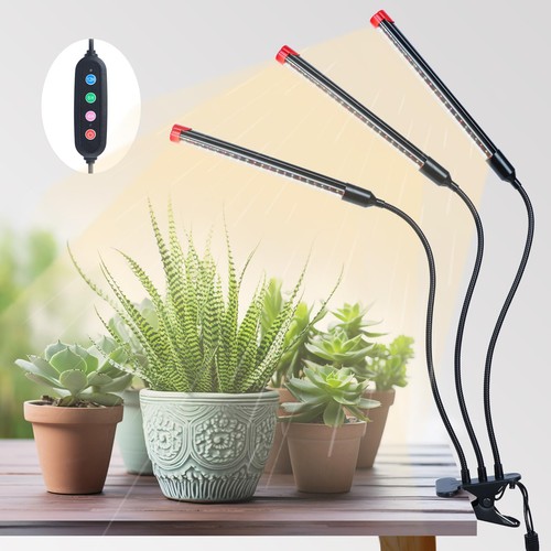 3head clip luce - 3head,