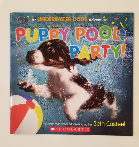 Puppy pool party - puppy,