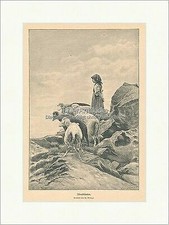 Liuti da sera gregge di pecore