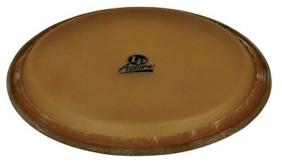 Latin percussion pelle conga - latin,