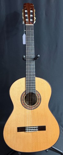 Chitarra acustica classica