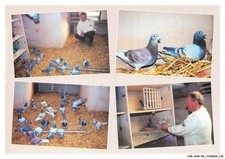 CAR-ACWP8-0560-76 - LE HOULME