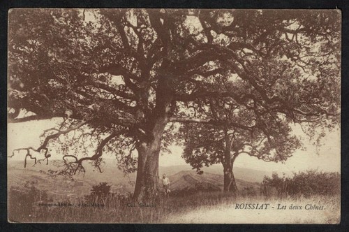 Cpa roissiat les - roissiat,