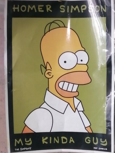 Poster homer simpson - di,
