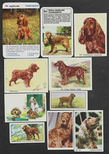 Lotto 10 diverse carte vintage
